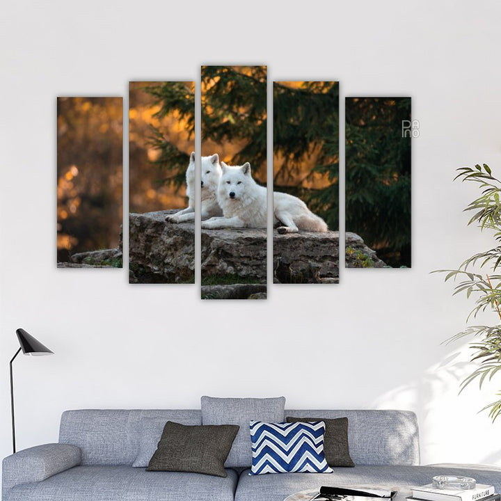 White wolves in the forest