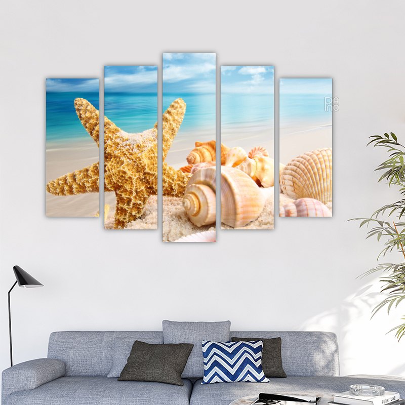 Starfish and seashells