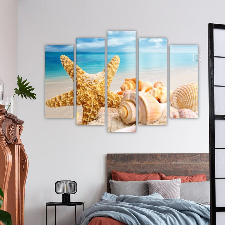 Starfish and seashells