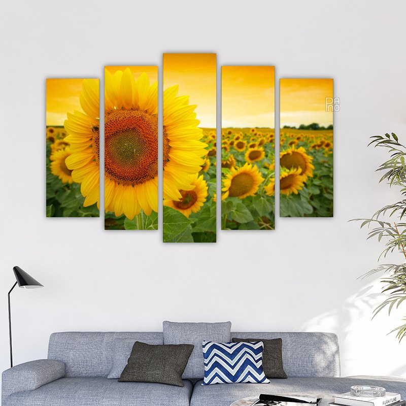 Large sunflower