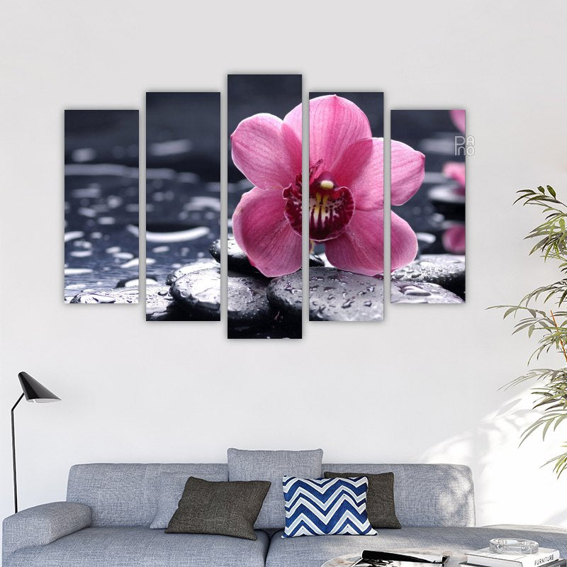 Orchidea vízcseppekkel és zöld levelekkel finom árnyalatokban – kemény alapú falidíszítés