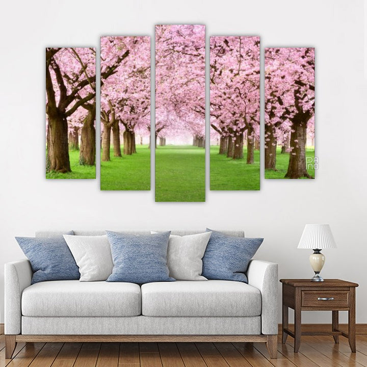 Cherry Trees