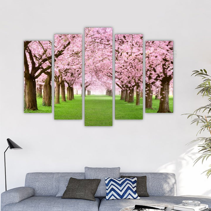 Cherry Trees