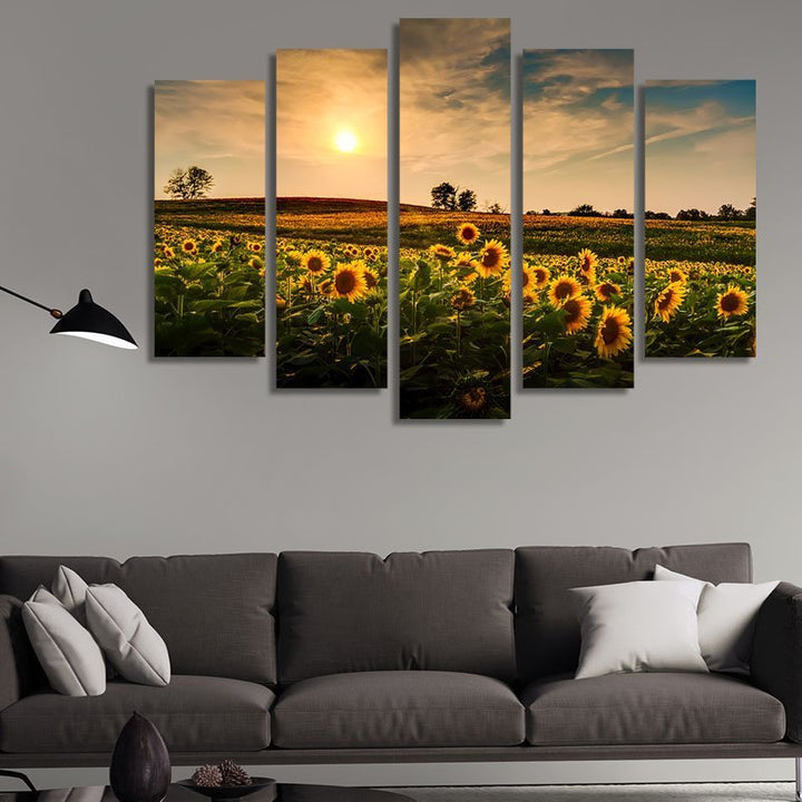 Sunflower Fields at Sunset
