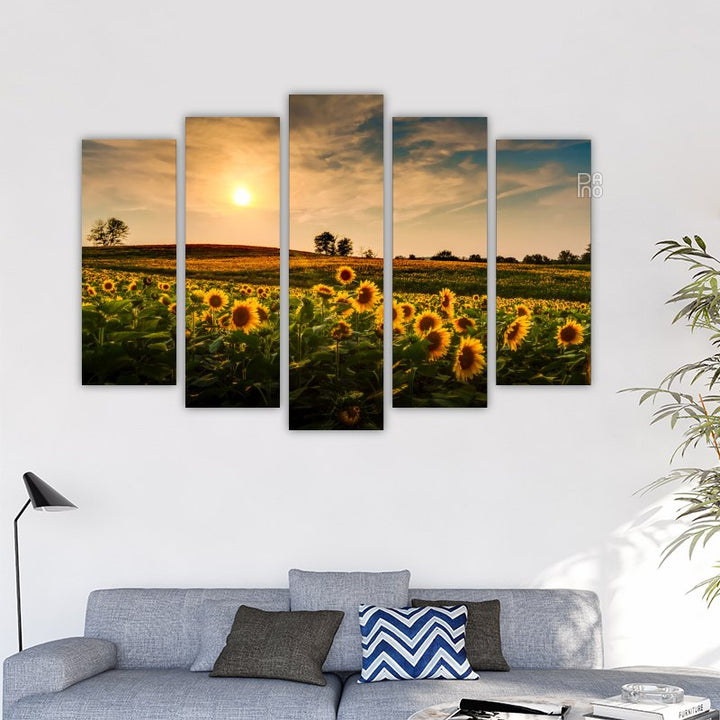Sunflower Fields at Sunset