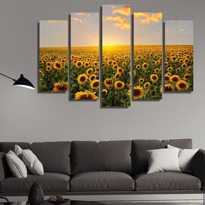 Sunflower fields at sunrise