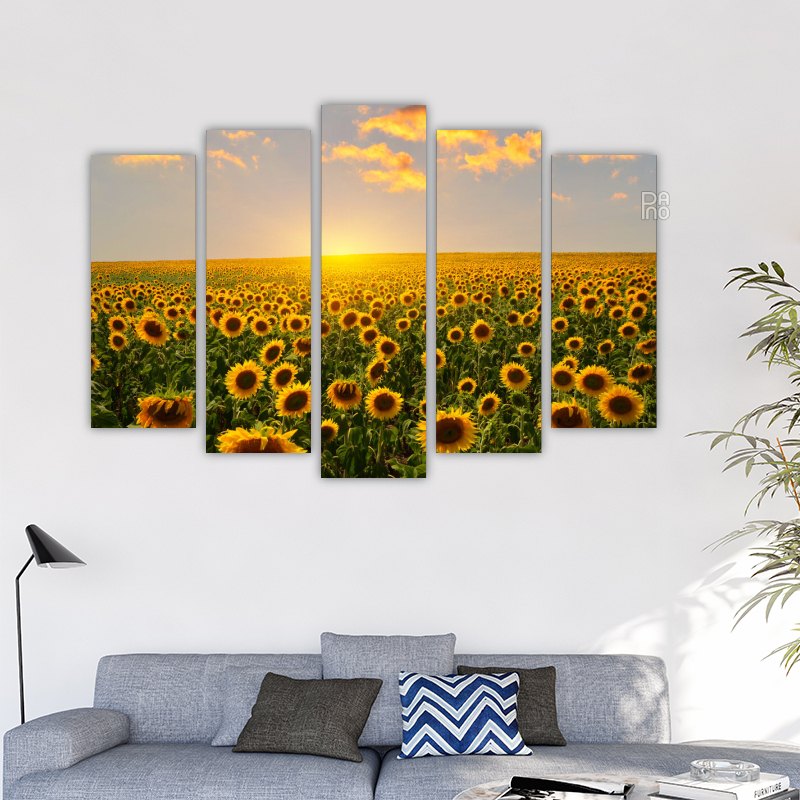 Sunflower fields at sunrise