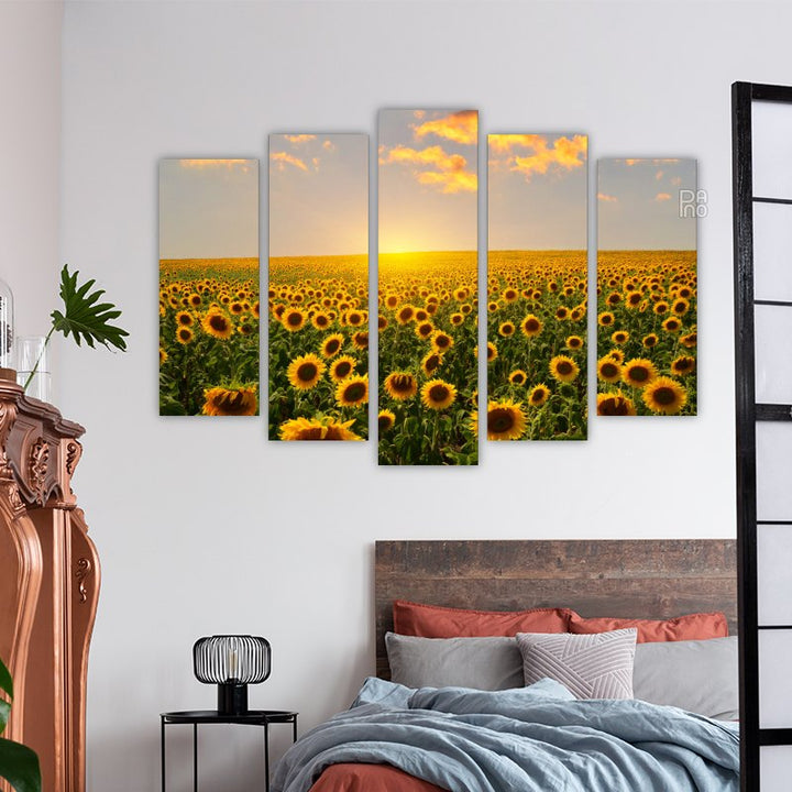 Sunflower fields at sunrise