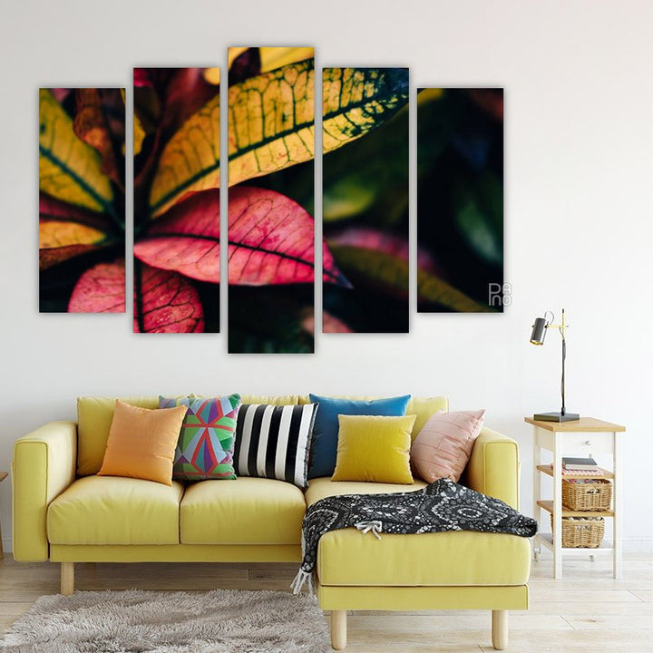 Beautiful croton flower