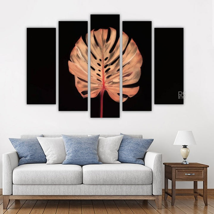 Monstera pe un fundal negru