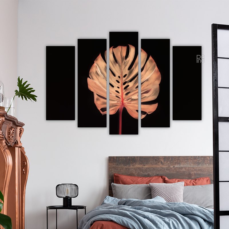 Monstera pe un fundal negru