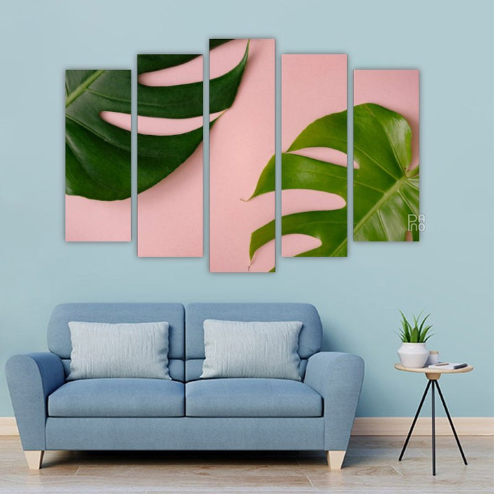 Monstera on a pink background