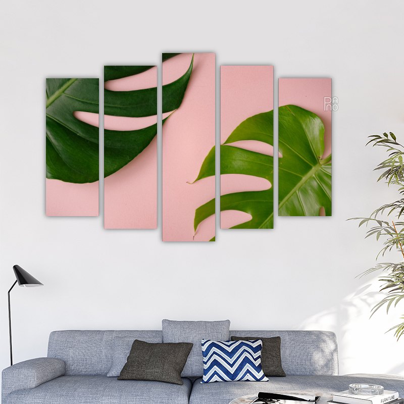 Monstera on a pink background