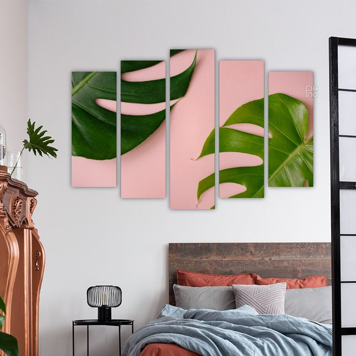 Monstera on a pink background