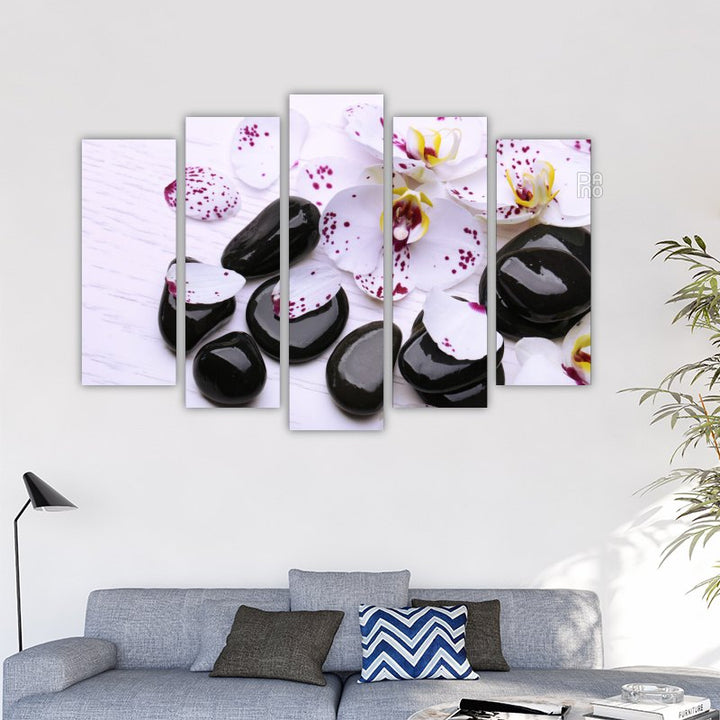 Orchids and Zen Stones