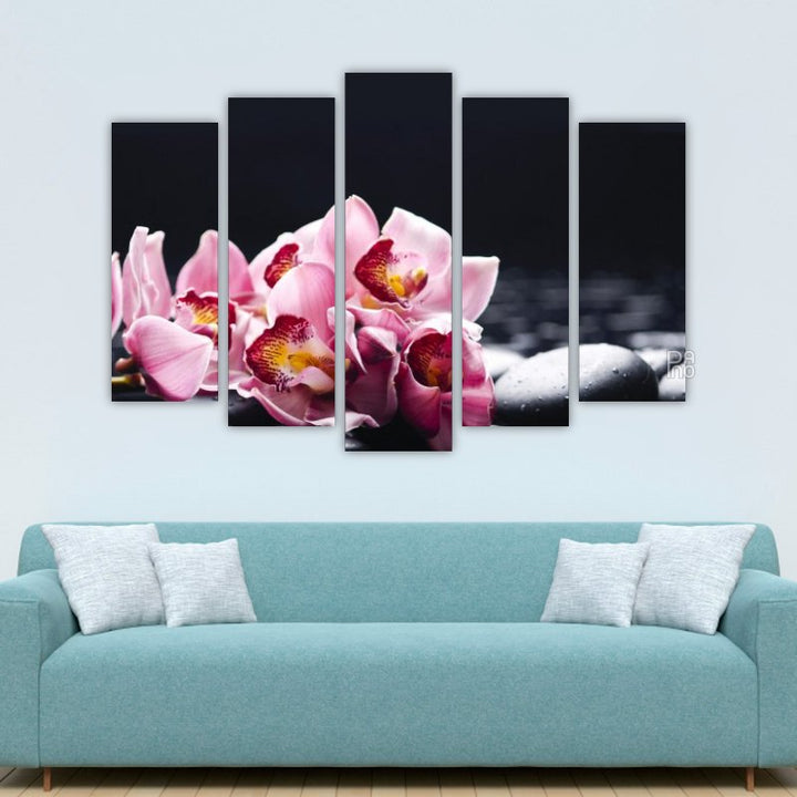 Orchid with Black Stones