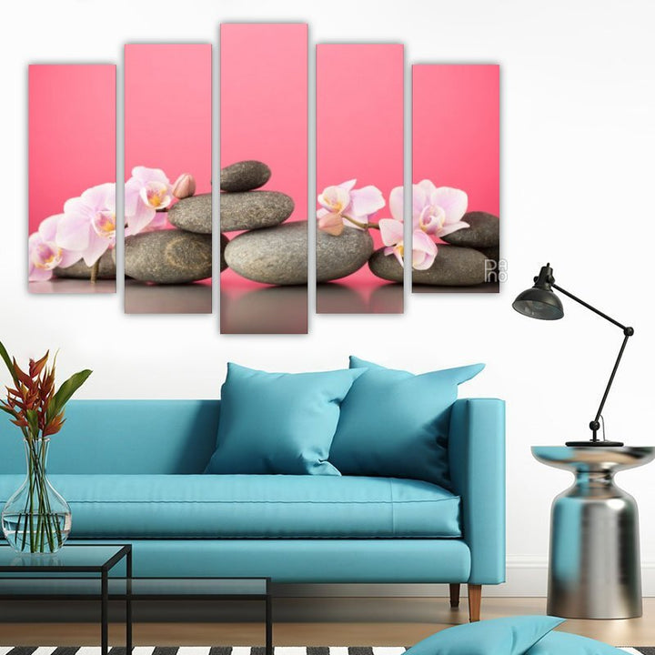 Pink orchid