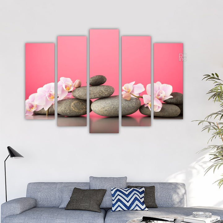Pink orchid