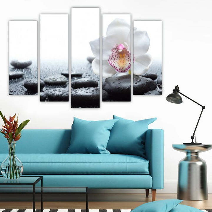 White Orchid and Black Stones