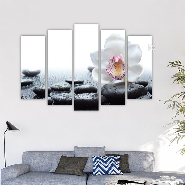 White Orchid and Black Stones