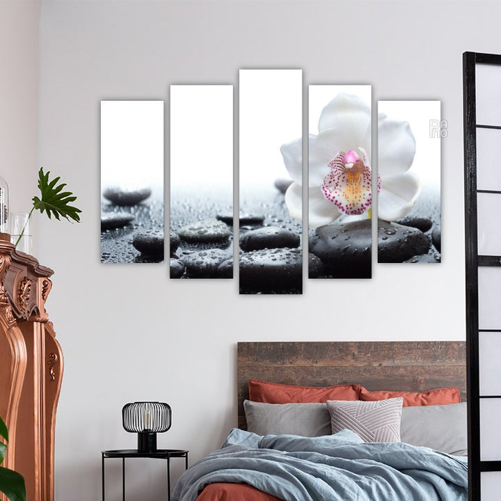 White Orchid and Black Stones