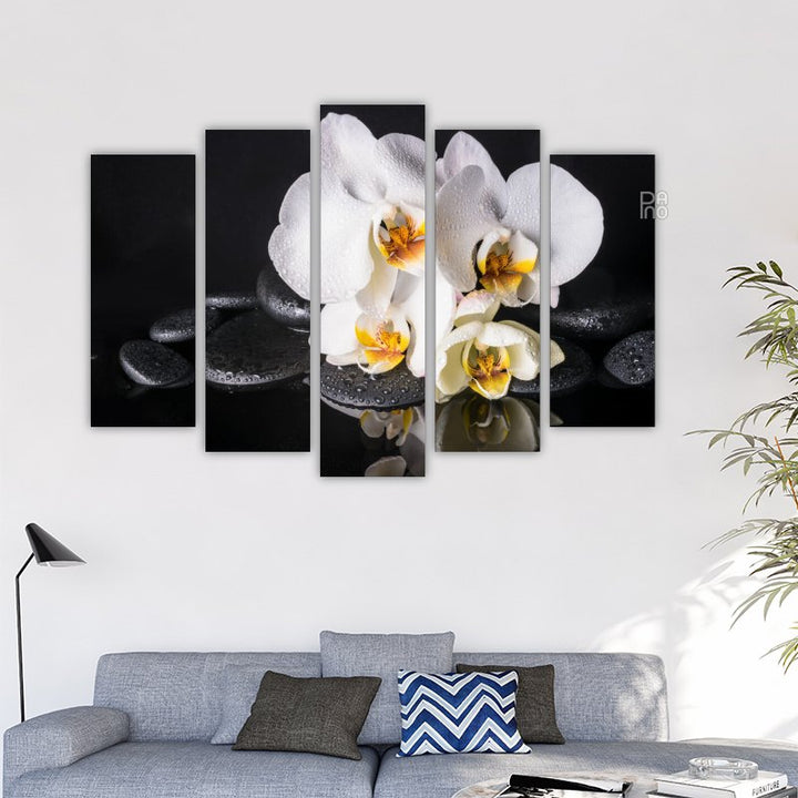 White Orchids with Black Stones