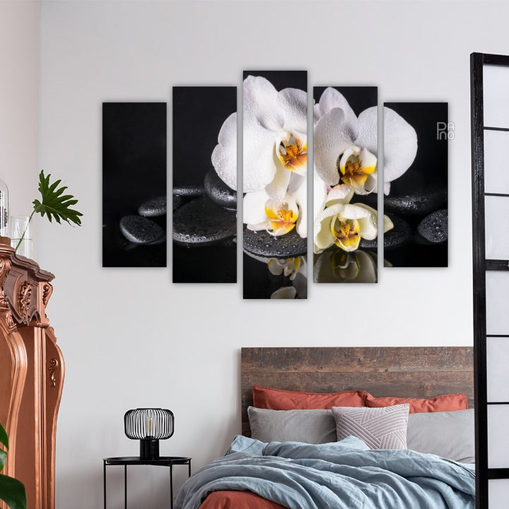 White Orchids with Black Stones