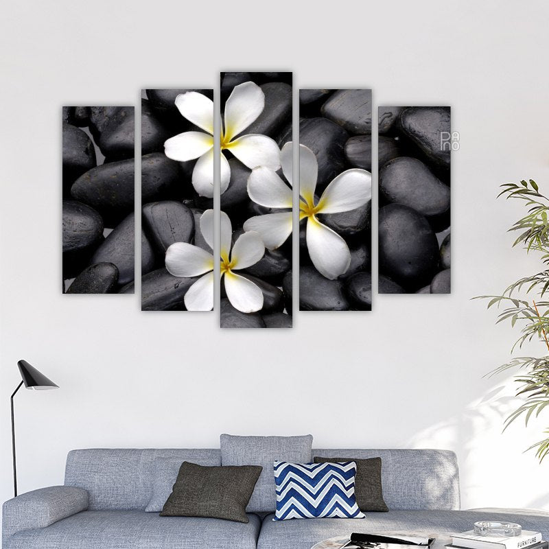 Frangipani Flower