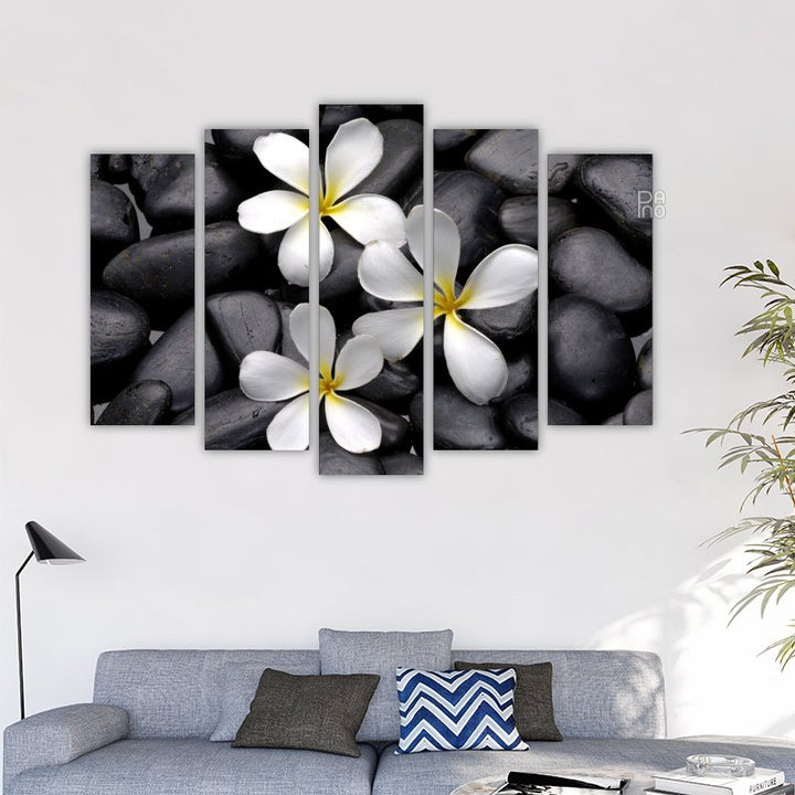 Frangipani Flower