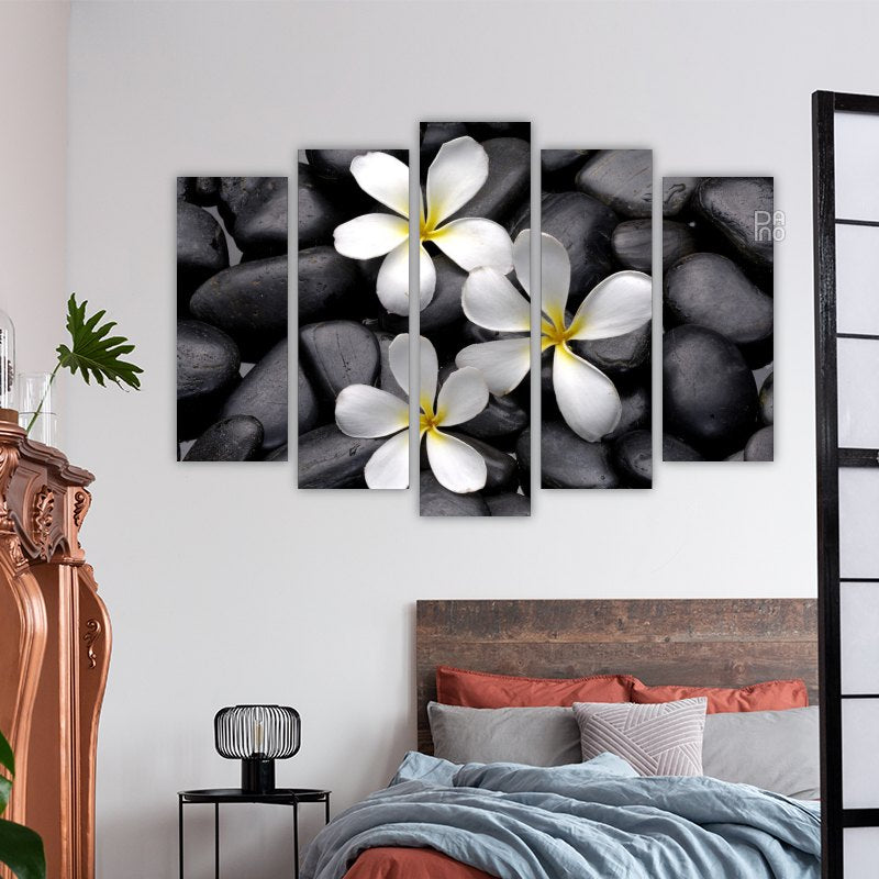 Frangipani Flower