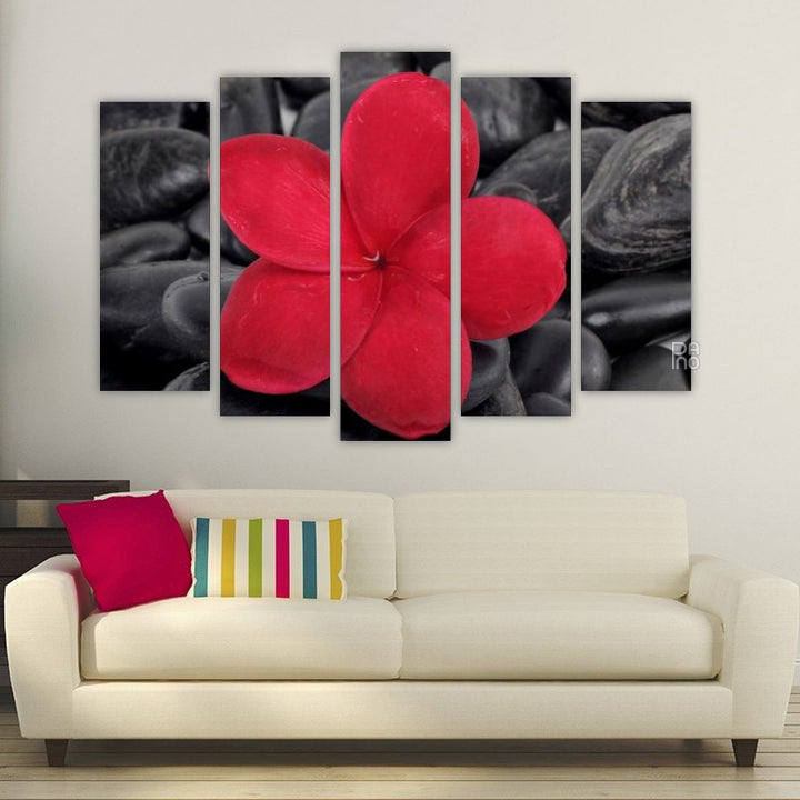 Zen Stones with Red Frangipani Flower