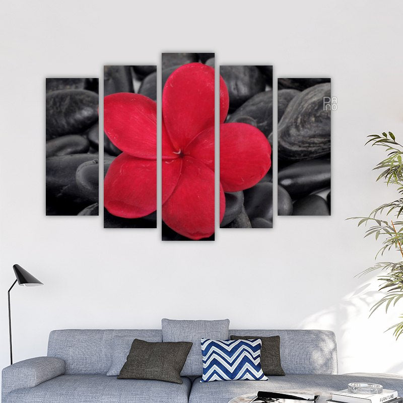 Zen Stones with Red Frangipani Flower