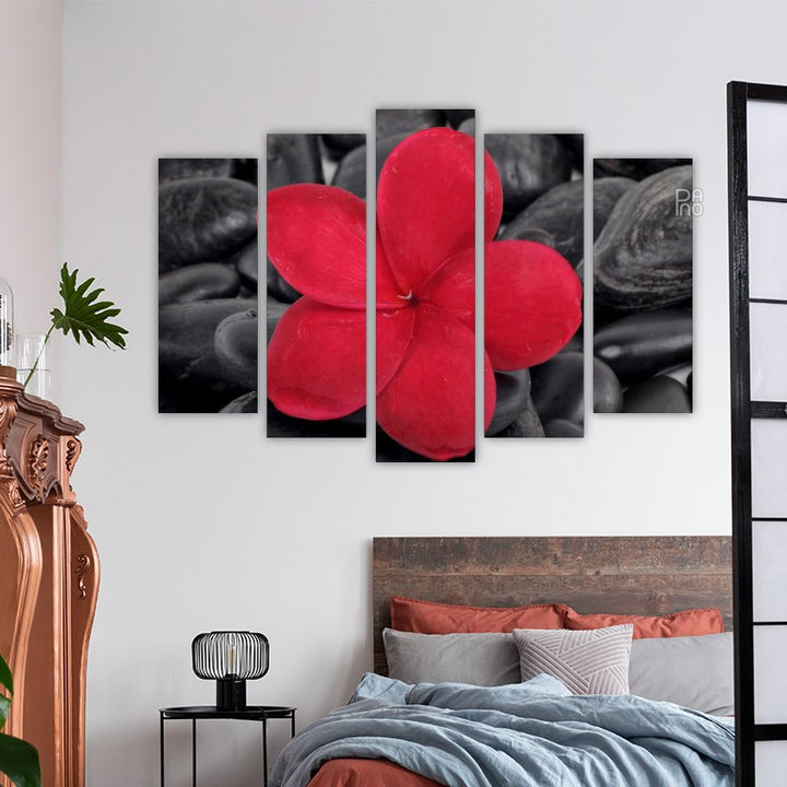 Zen Stones with Red Frangipani Flower