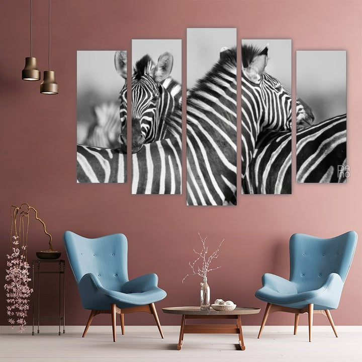 Herd of zebras in black and white photo