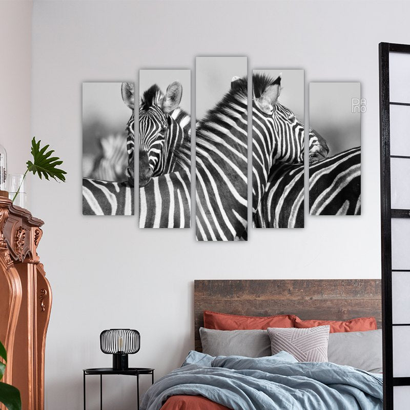 Herd of zebras in black and white photo