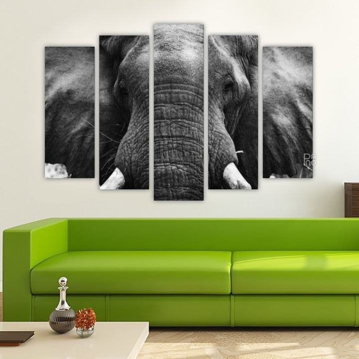 Elephant in black and white photo