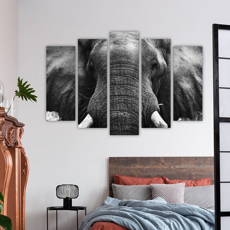Elephant in black and white photo
