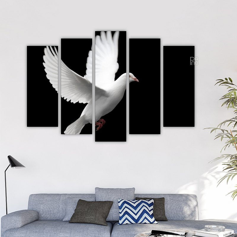 White dove