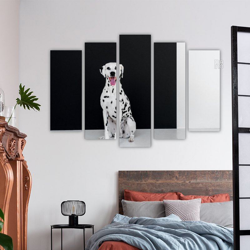 Dalmatian