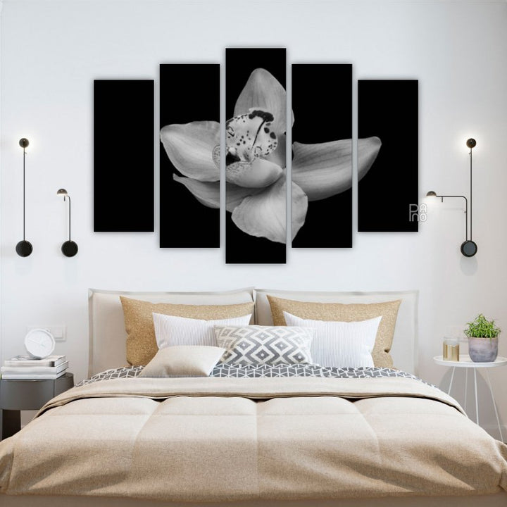 Beautiful orchid in black and white