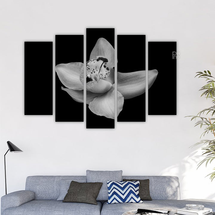 Beautiful orchid in black and white