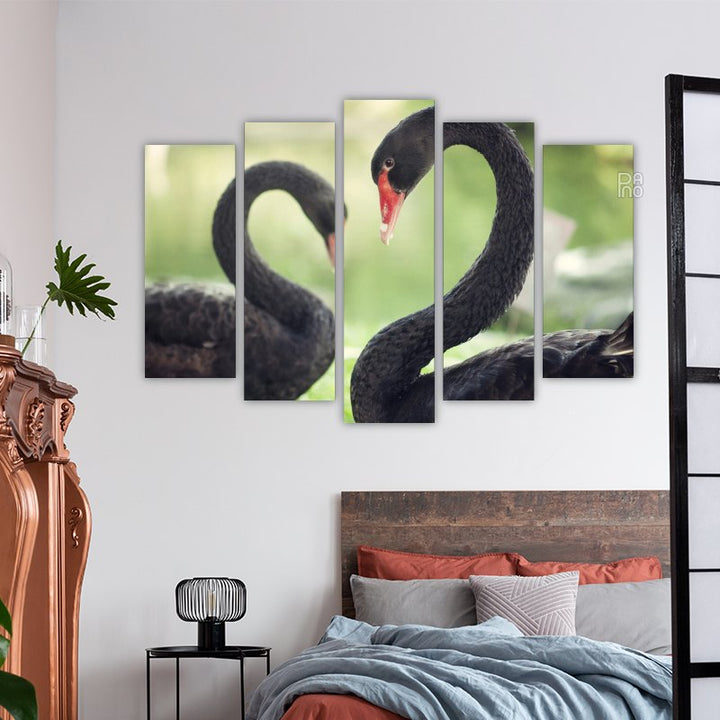 Loving Black Swans