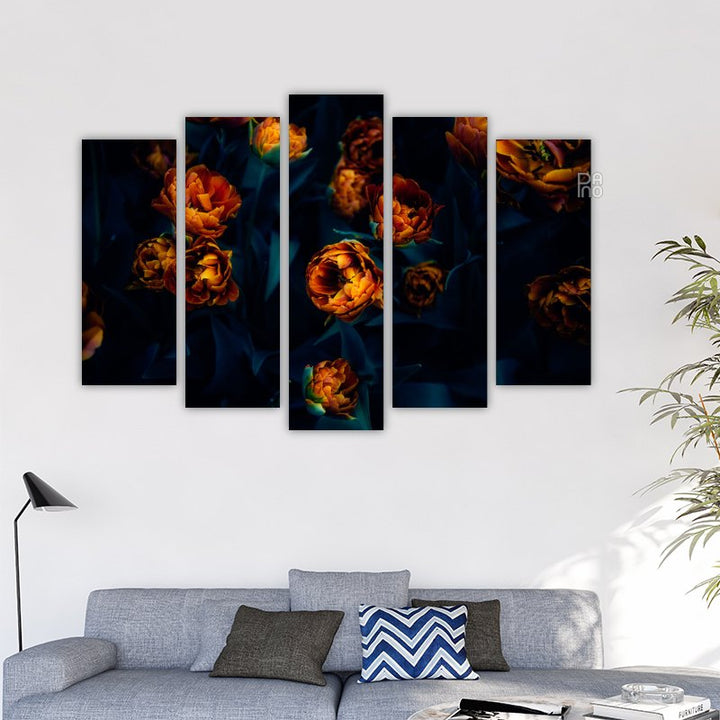Blooming Tulips