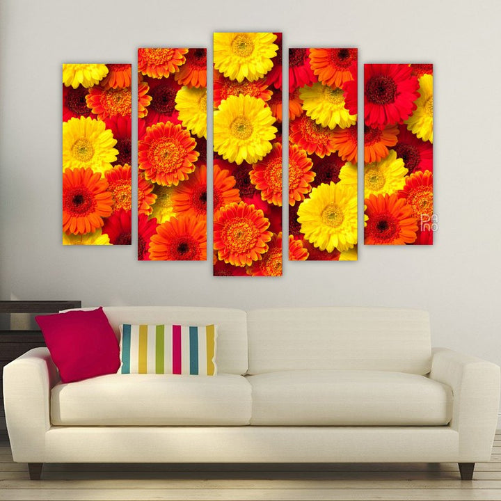 Colorful daisies