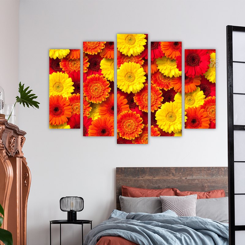 Colorful daisies