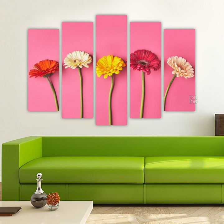 Gerberas