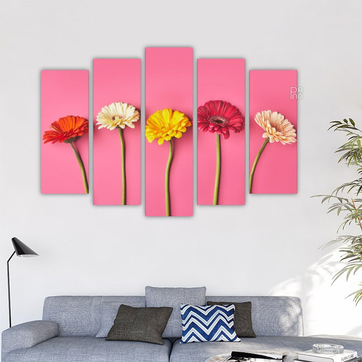 Gerberas