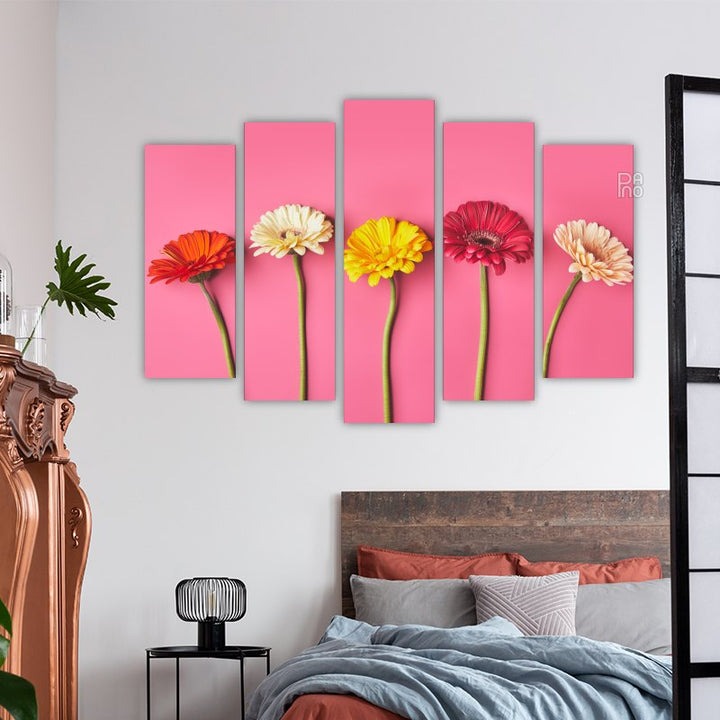 Gerberas