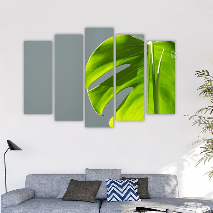 Monstera
