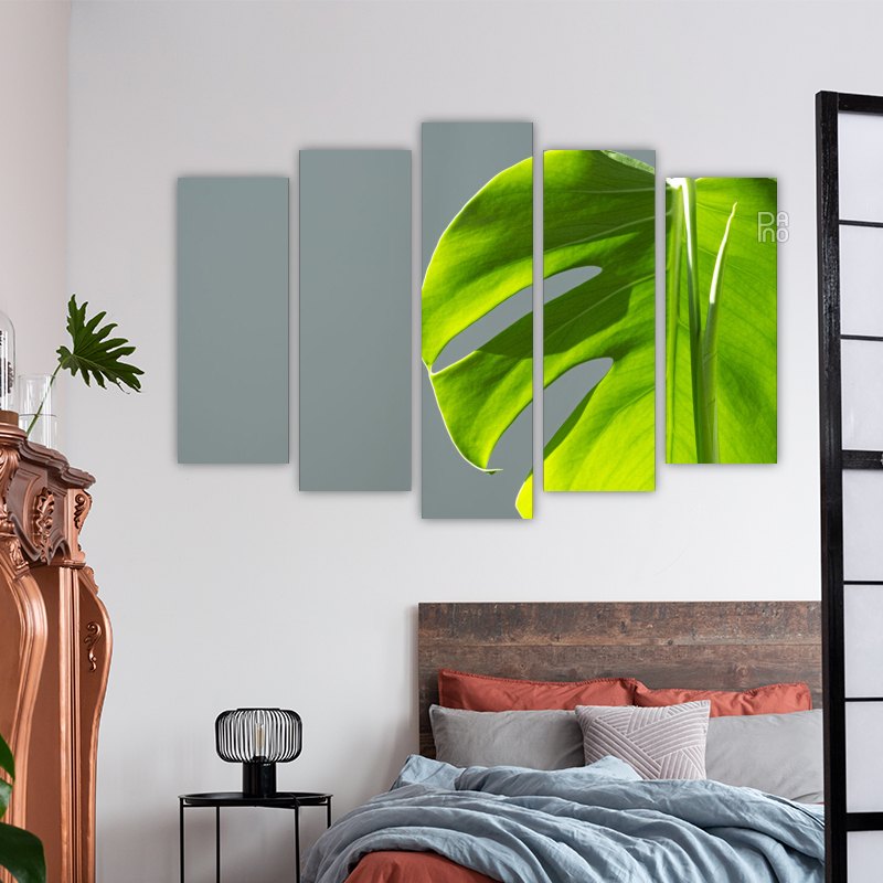 Monstera